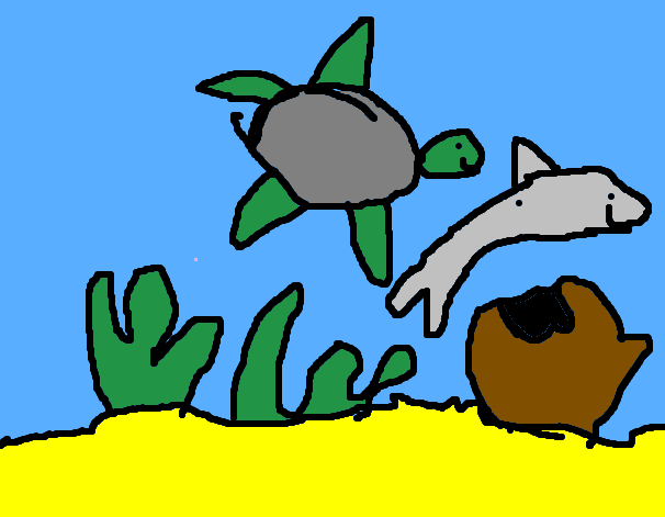 ocean