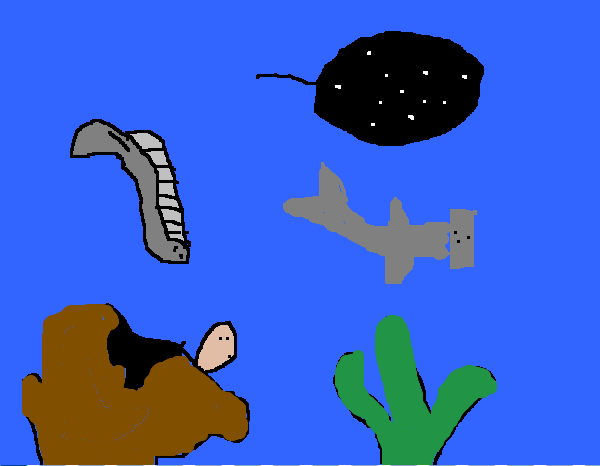 sea snak