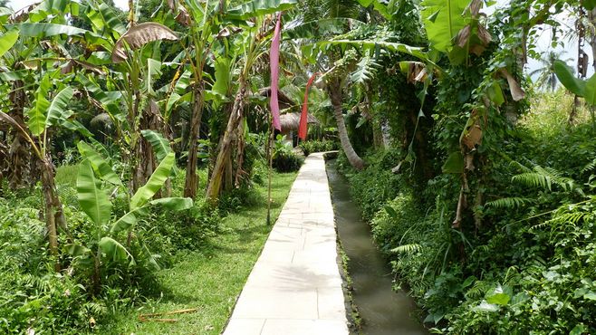 pelangi
