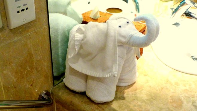 Elephant towel.