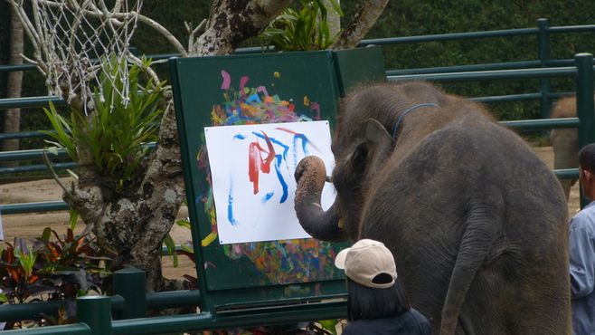 Elephant Painting