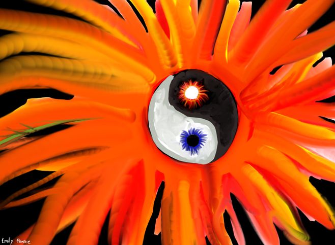 Yin Yang By Emily Pearce 2012 11 27 (01.31.09 233 PM)