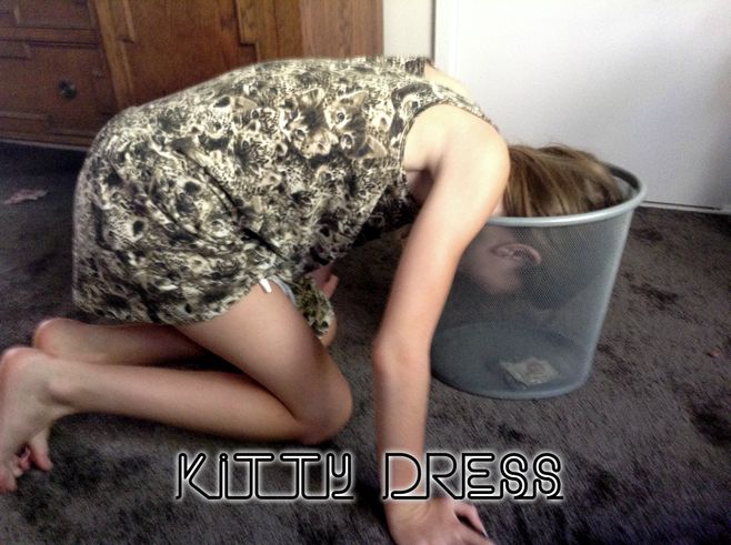 Garbage Kitty dress