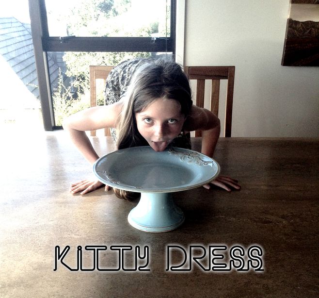 Kitty bowl kitty dress
